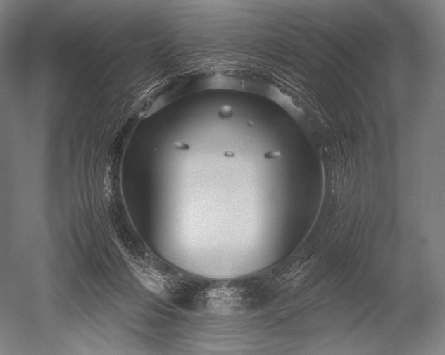 X0000052550216200507081618