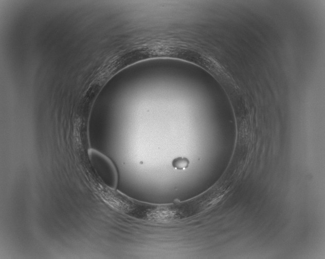 X0000052550217200507081618