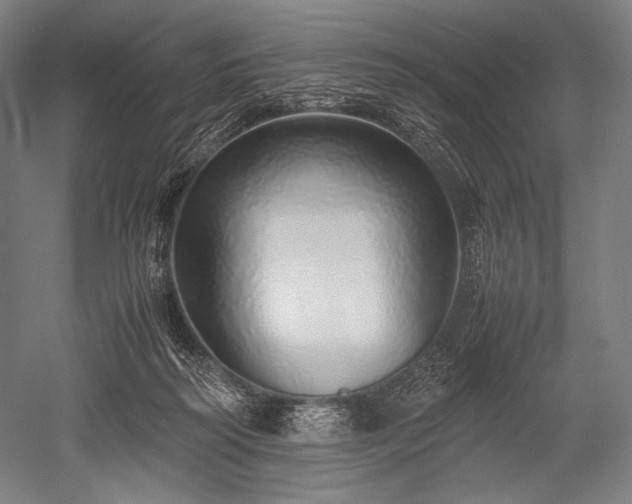 X0000052550218200507081618