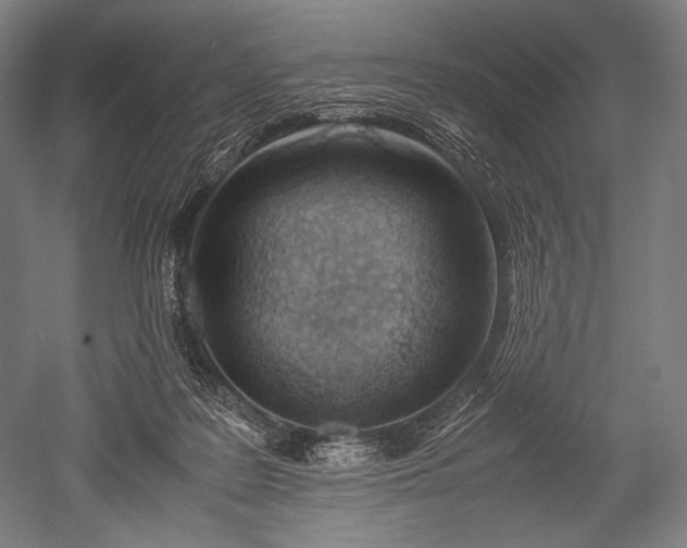 X0000052550219200507081618