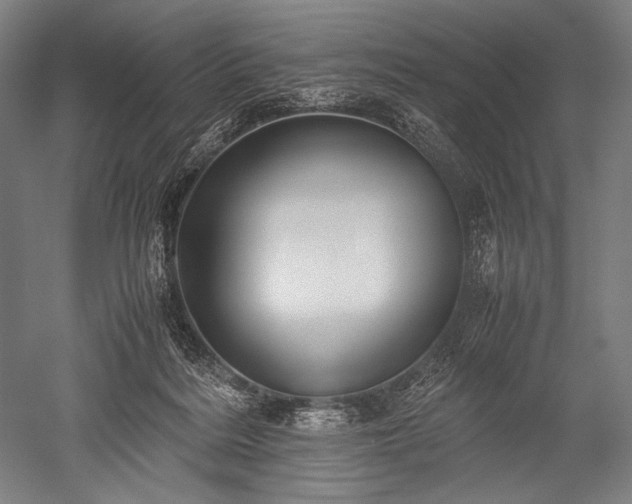 X0000052550220200507081618