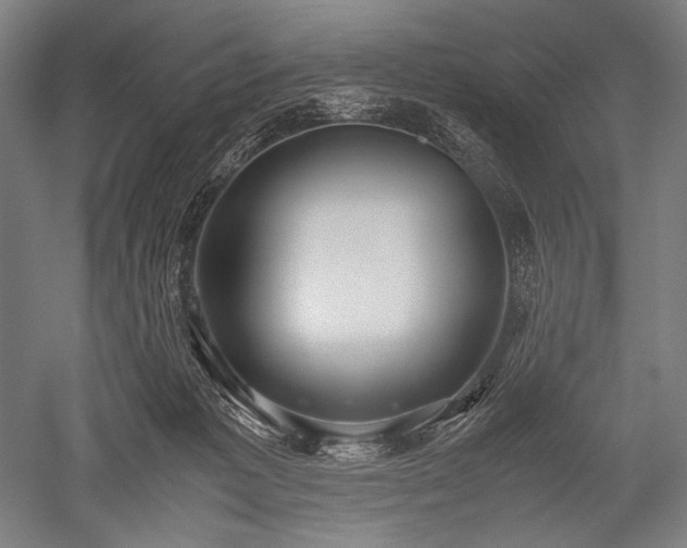 X0000052550221200507081618