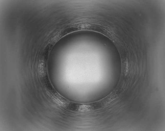 X0000052550222200507081618