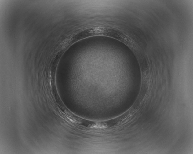 X0000052550223200507081618