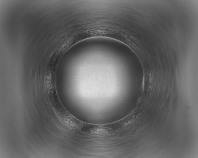 X0000052550224200507081618