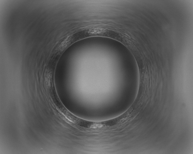 X0000052550227200507081618