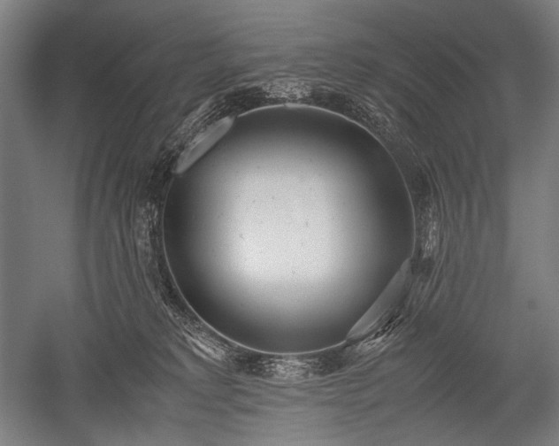 X0000052550229200507081618