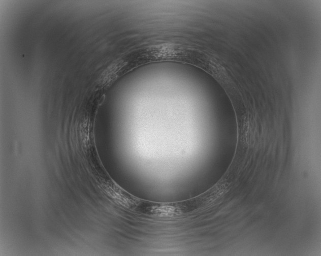 X0000052550230200507081618