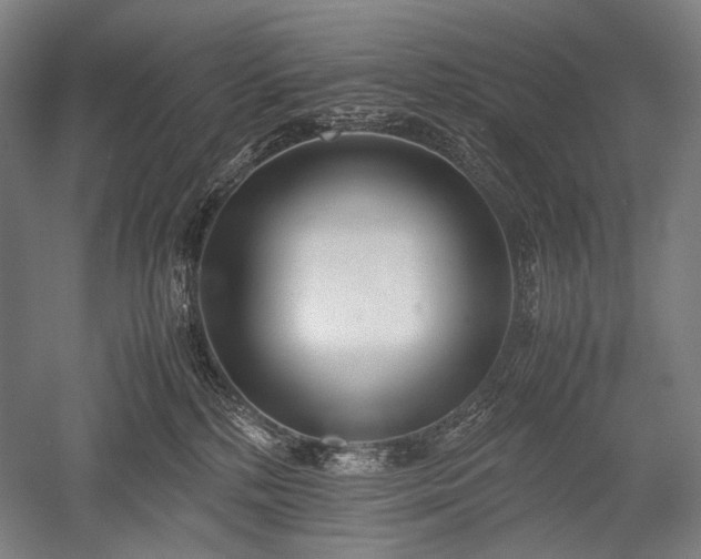 X0000052550232200507081618