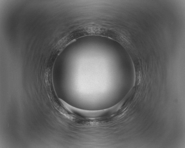 X0000052550233200507081618