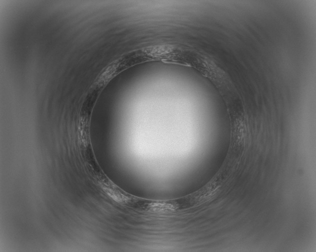 X0000052550234200507081618