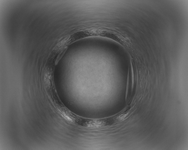 X0000052550235200507081617