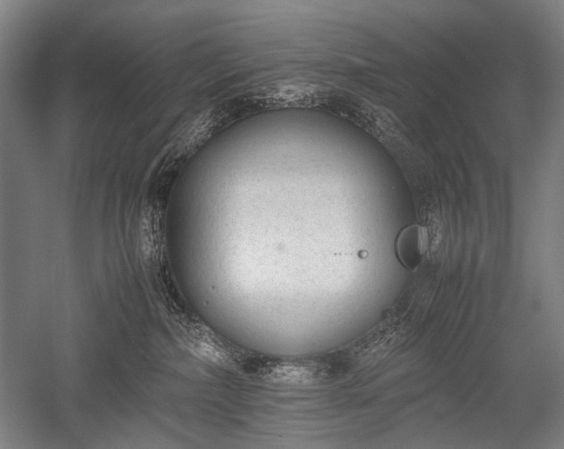 X0000052550236200507081617