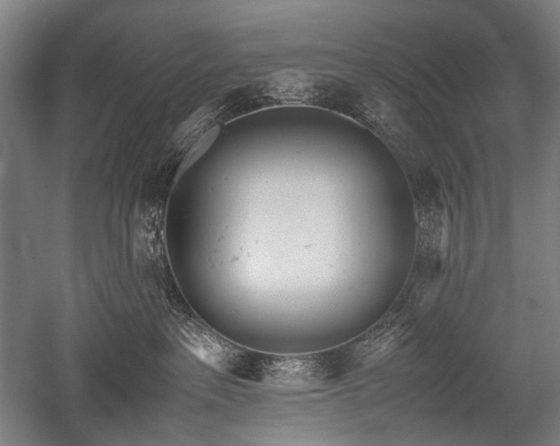 X0000052550237200507081617