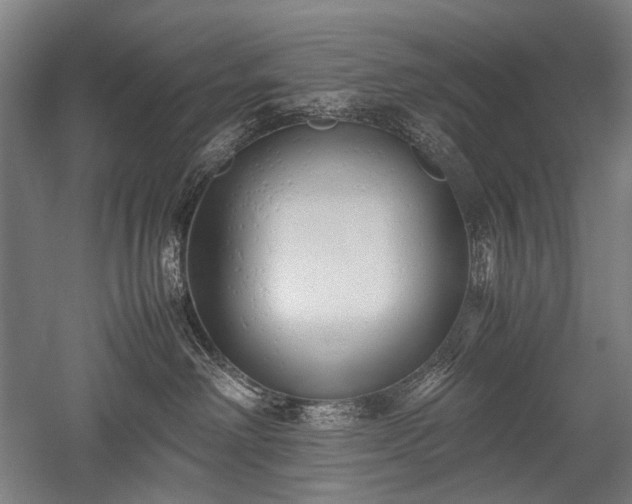 X0000052550238200507081617