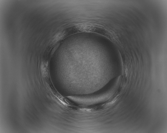 X0000052550239200507081617