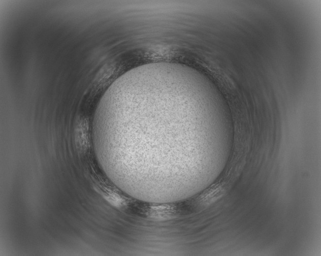 X0000052550240200507081617