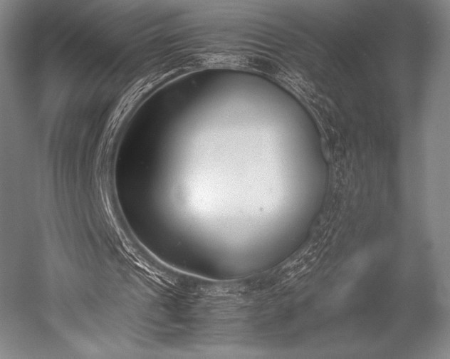 X0000052550241200507081617