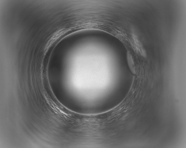 X0000052550242200507081617