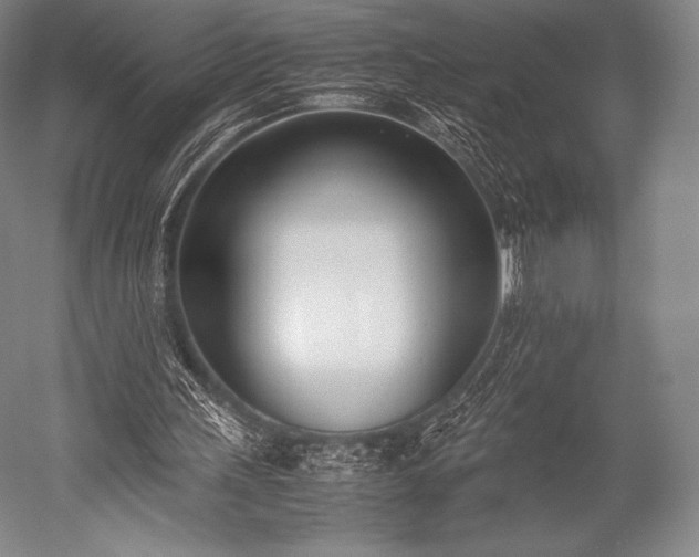 X0000052550243200507081617