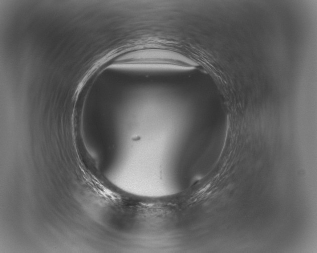 X0000052550244200507081617