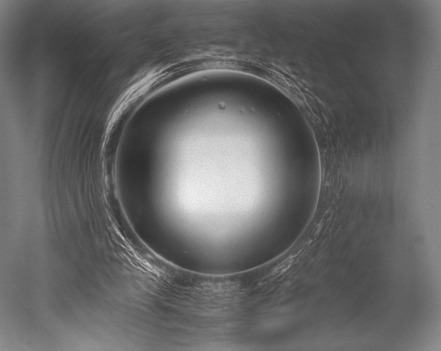 X0000052550245200507081617