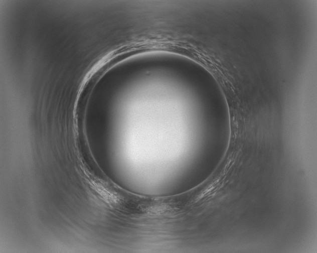 X0000052550246200507081617