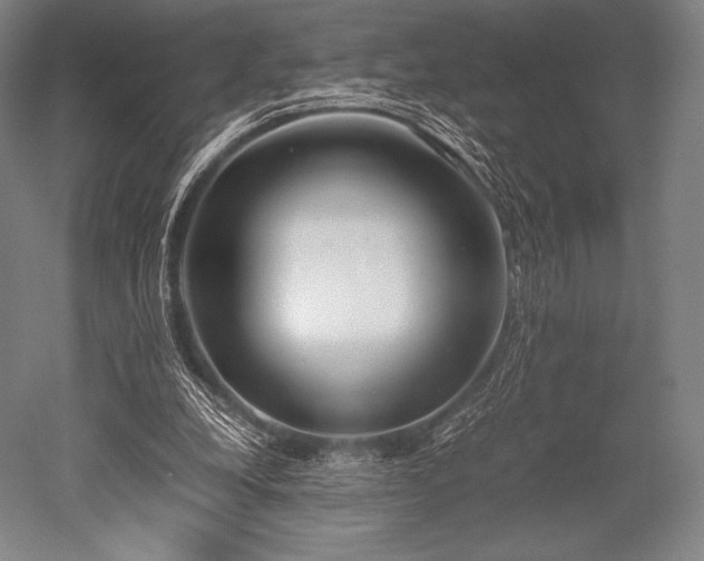 X0000052550248200507081617