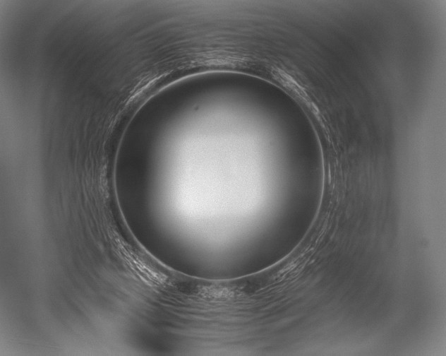 X0000052550249200507081617