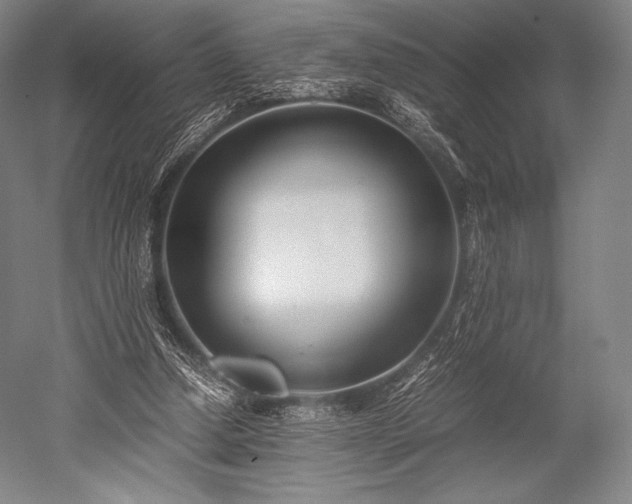 X0000052550250200507081617