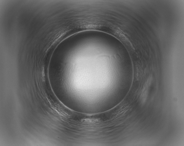 X0000052550251200507081617