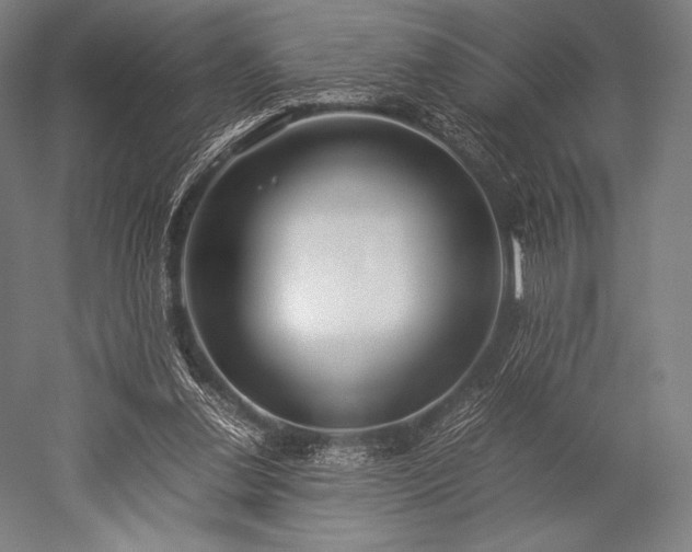 X0000052550252200507081617