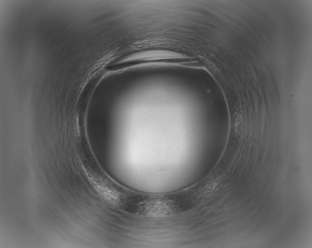 X0000052550254200507081617