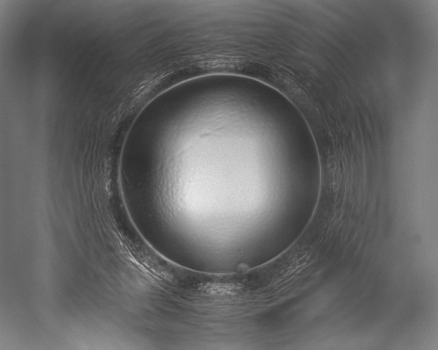 X0000052550255200507081617