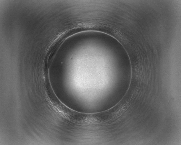 X0000052550256200507081617