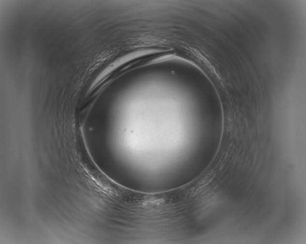 X0000052550257200507081617