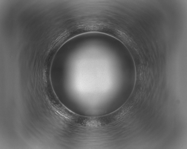 X0000052550258200507081617