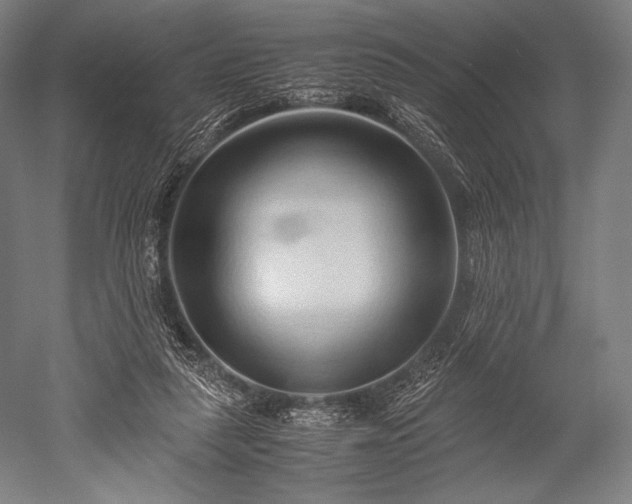 X0000052550259200507081617