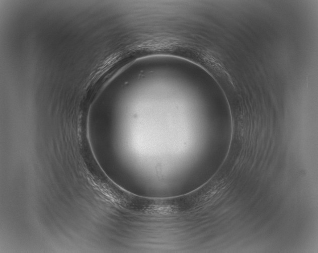 X0000052550260200507081617