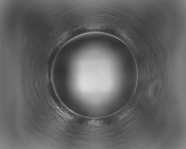 X0000052550261200507081617