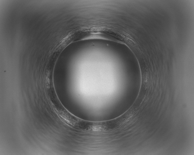 X0000052550264200507081617