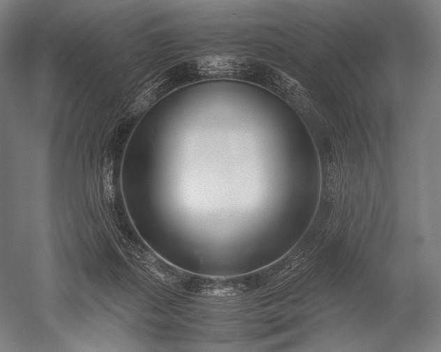 X0000052550267200507081617