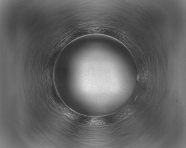 X0000052550270200507081617