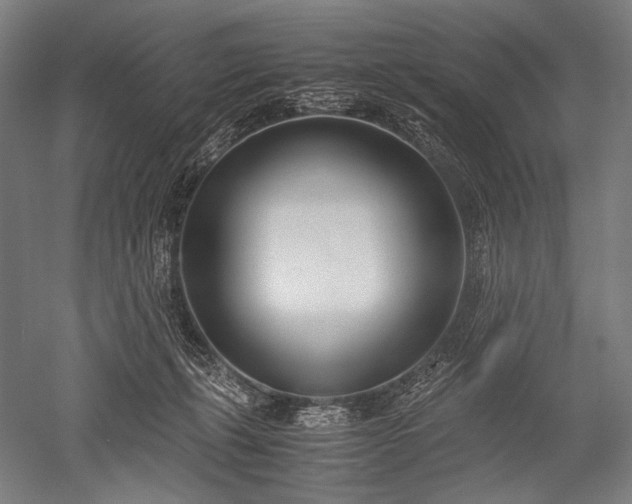 X0000052550271200507081617