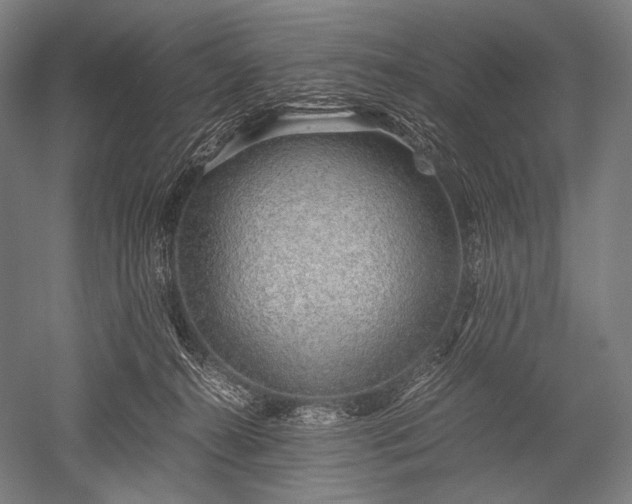 X0000052550272200507081617