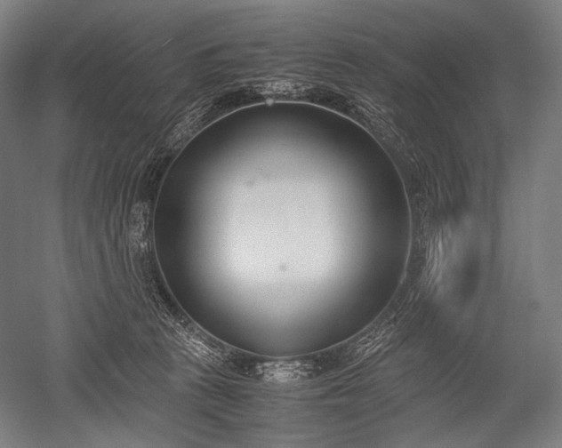 X0000052550273200507081617