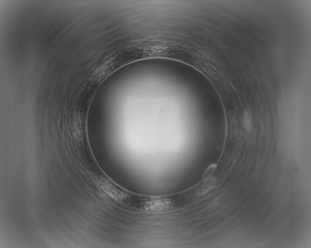 X0000052550274200507081617