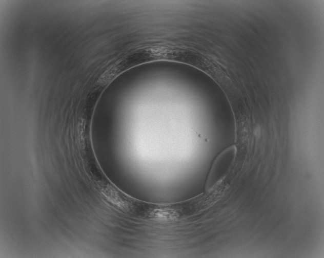 X0000052550275200507081617