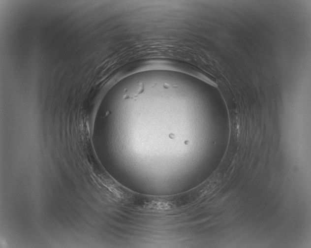 X0000052550276200507081617