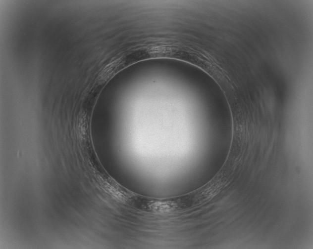 X0000052550277200507081617